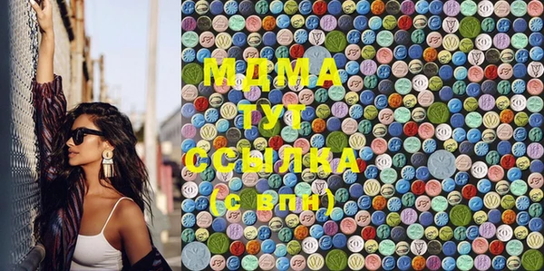 индика Тайга