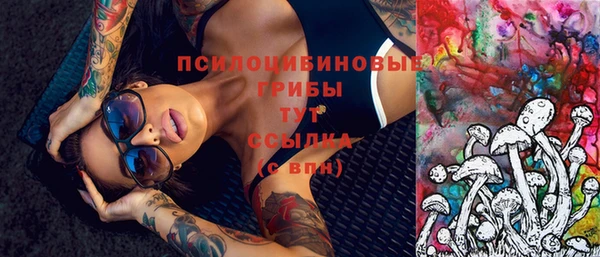спайс Тавда