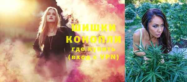 спайс Тавда