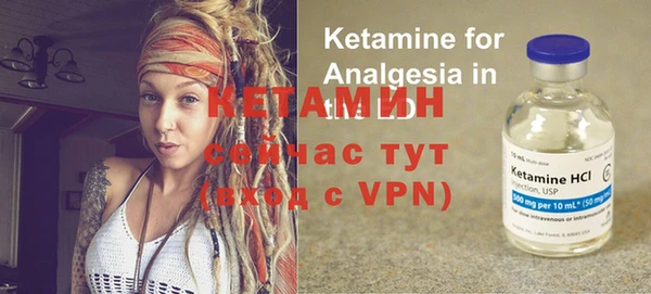 индика Тайга